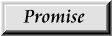 Promise